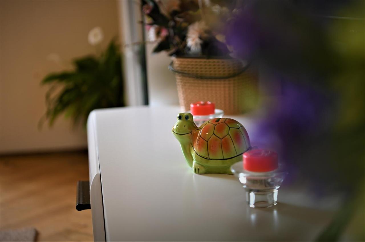 Marin Hotel Apartment Brasov Luaran gambar